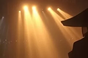 《稻田里的风》海报:黄昏稻田上掠过的群鸟